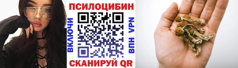 Псилоцибиновые грибы Magic Shrooms  Купить закладки  Артёмовск 